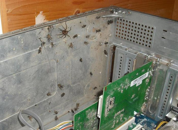 Disgusting Things Found Inside Computers