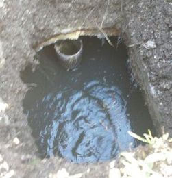 How Can I Tell if My Septic Tank is Full?