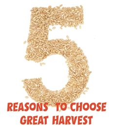 5 Reasons to Choose the Great Harvest Franchise
