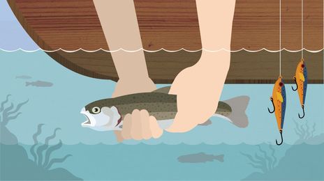 Guide to Catch-and-Release Fishing