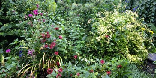How to Create a Natural Landscape This Spring