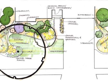 Native plants fit the climate, diversify a landscape and create a sense of place