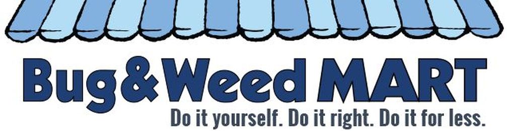 Do-It-Yourself Pest Control for Spiders, Rodents, Birds, Bees