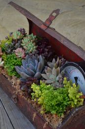 Easy Container Gardening: 7 Containers You Never Thought Of