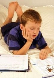 Six Study Tips for Elementary School Children |