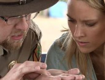 Pay $8 to mine your own diamonds 