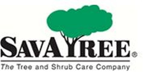Professional Tree Services, Organic Lawn Care