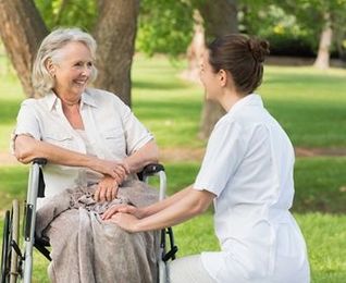 The Endless Ways Planting a Tree Can Benefit You