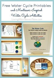 Free Water Cycle Printables and Montessori-Inspired Water Cycle Activities