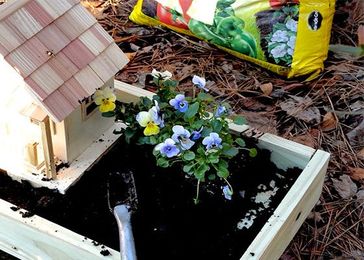 Make a Birdhouse Planter