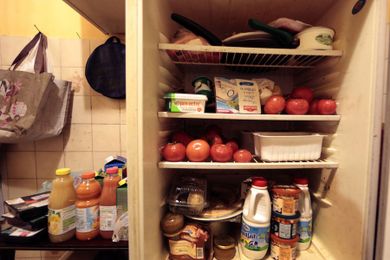 Preventing food waste begins in the fridge