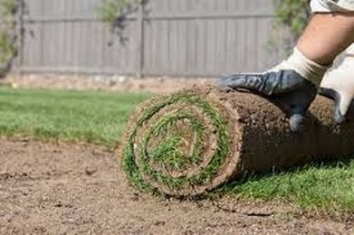 Spring Lawn Care: How To Water New Sod