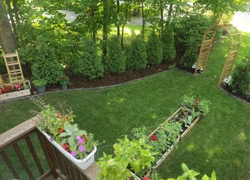 What, where and how to plant