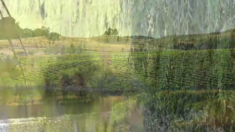 Cline Farming Practices 1