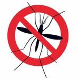 Why Choose Eco Systems for Mosquito & Ticks
