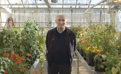 Is There Enough Meat for Everyone? 