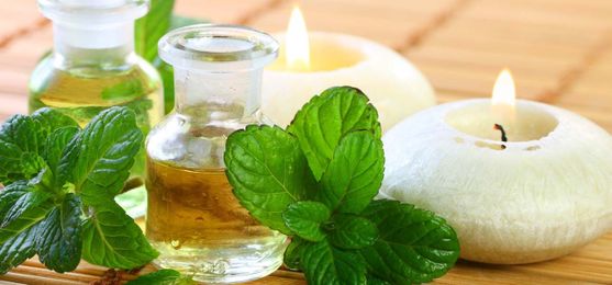 20 Best Benefits Of Peppermint Oil For Skin, Hair, And Health