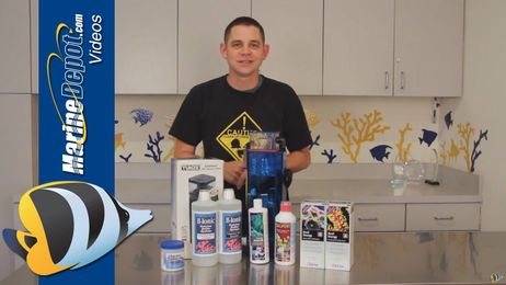 Marine Depot Staff Picks: 7 of our Favorite Aquarium Products