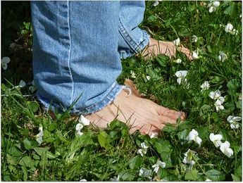 Imagining a no-mow yard: 7 lawn alternatives in pictures