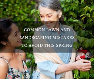 Spring Lawn and Landscaping Mistakes