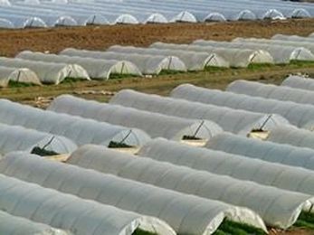 Food Sourcing: Six Tips When Choosing Your Pet’s Diet