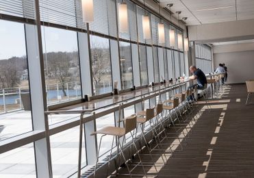 Green color of choice in commercial construction