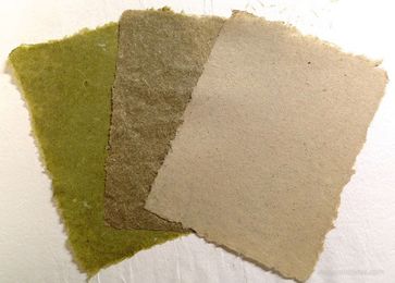 Making Paper from Invasive Plants