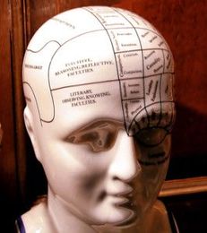 Neurodevelopmental Disorders Helped with Chiropractic According to Report |