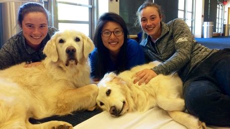 Duke Student-Athletes Relax With Paws for Exams