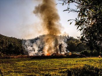 Using Caution when Burning Outdoors