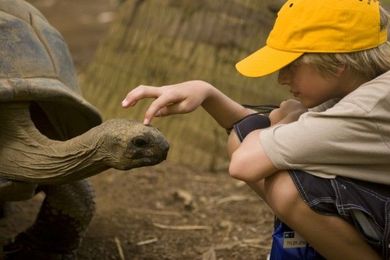 10 Questions to Ask Before You Book a Family Trip