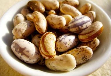 How to Grow Shell Beans