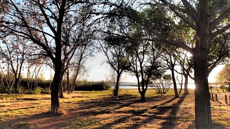 Pooping in the Woods