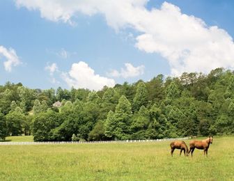 9 Mini-Moons That Don't Require a Passport