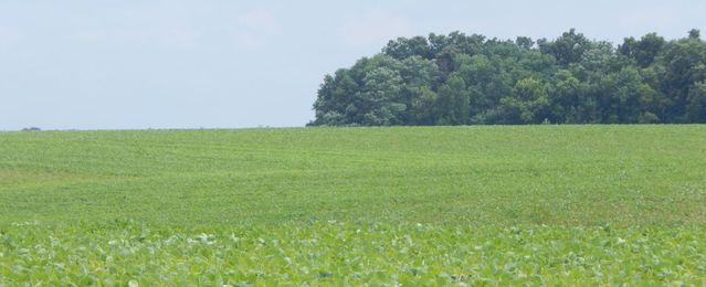 Invest in a Soil Test, Advises Agronomist