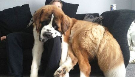 Your Packaging Is Too Big (And Doesn’t Realize It)