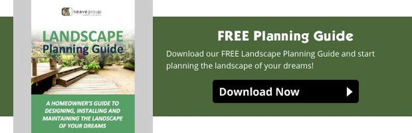 Smart Landscaping: 4 Tips For Energy Efficient Landscaping