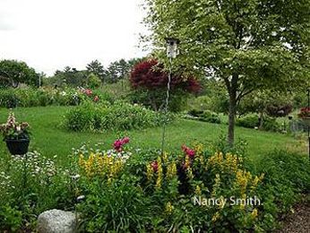 Animals That Grow Gardens