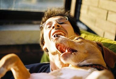 Oral Hygiene and Your Dog's Health