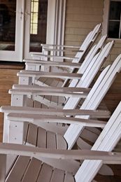 love in bloom, plants ... they'll bloom soon.