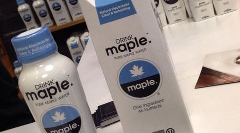 Industry takes first steps to establish standard of identity for maple water
