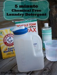 Chemical Free Cleaning on the Cheap!