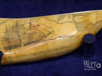 'Antiques Roadshow:' See A Whale Tooth Worth More Than $150K