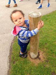 Alternate Title & I want to be a Great, Great Uncle.