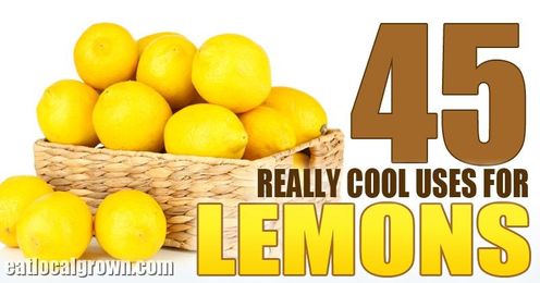 45 Cool Uses For Lemons 