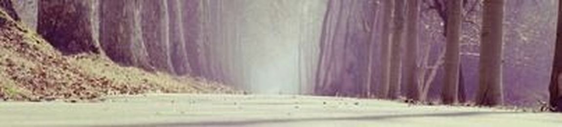 God Will Fulfill His Purpose for You