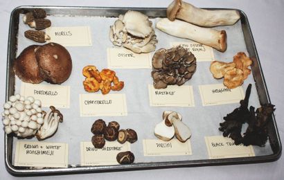 Know Your Mushroom Varieties And How To Cook With Them Best