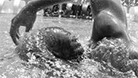 Land-Based Strength and Conditioning for Swimming