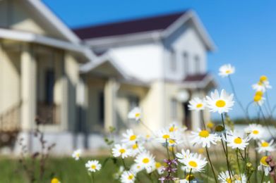 Spray Foam Insulation for Spring Home Improvement Projects