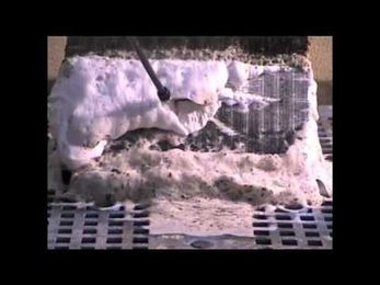 How-To: Treat Evaporator Coils